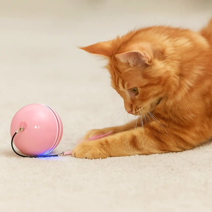 Katzenspielzeug LED Ball automatisch | Selbstrollend & aufladbar