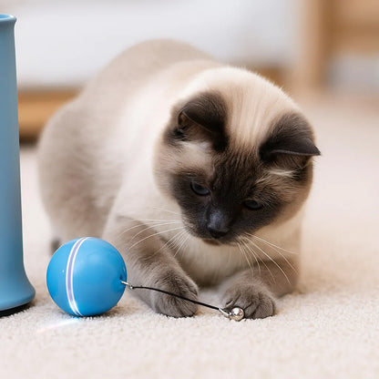 Katzenspielzeug LED Ball automatisch | Selbstrollend & aufladbar