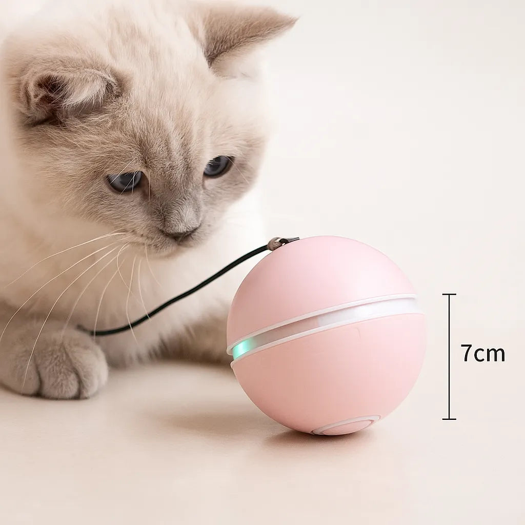 Katzenspielzeug LED Ball automatisch | Selbstrollend & aufladbar
