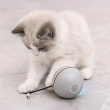 Cat Toy LED Ball Automatic | Self-Rolling & Rechargeable