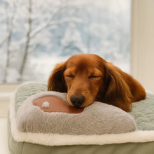 Stable Dog Bed | Comfort & Resting Place Free
