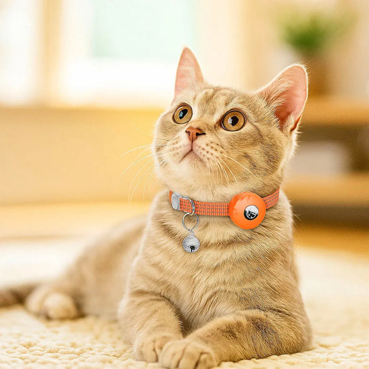 Katzenhalsband reflektierend | Mit AirTag-Halterung & Glöckchen