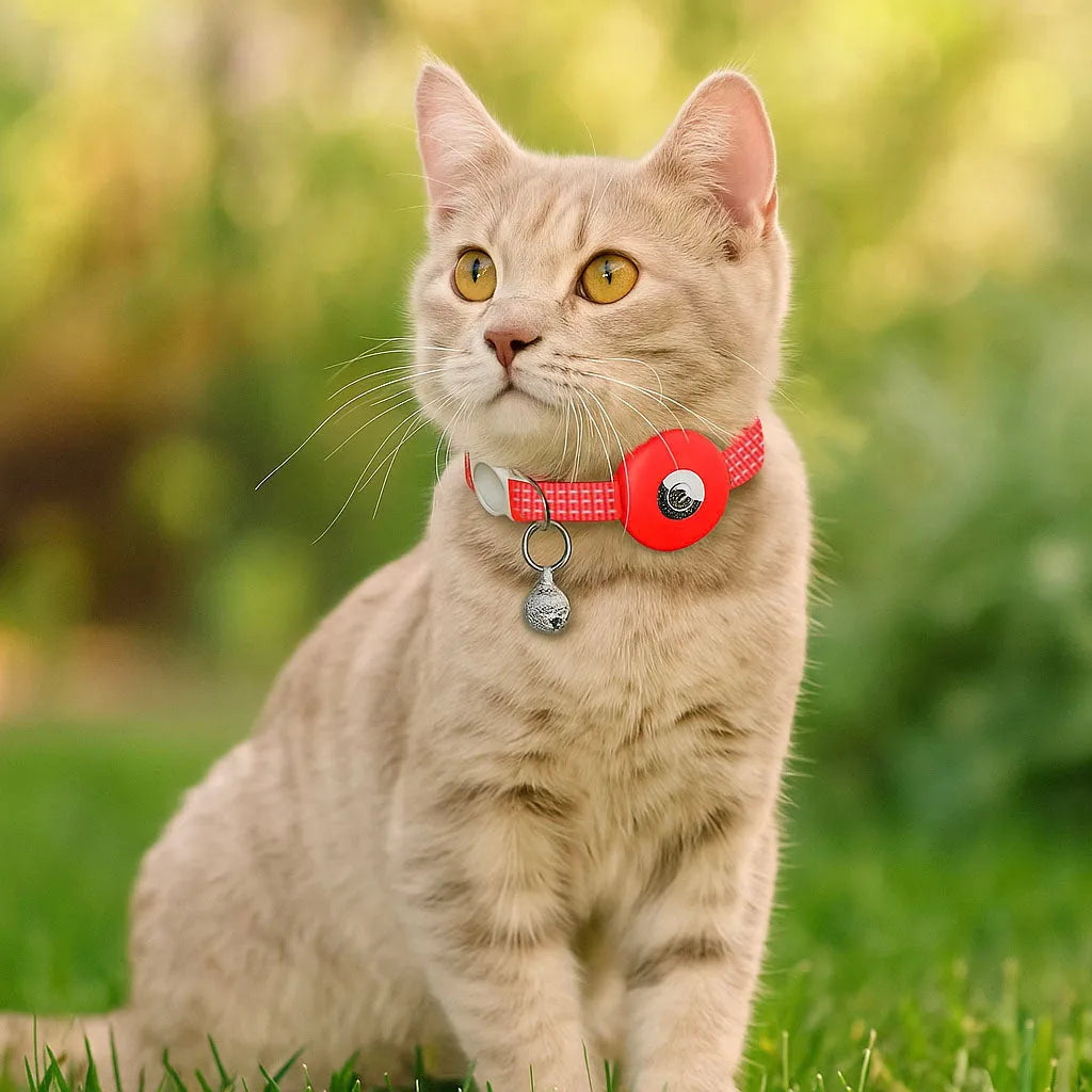 Katzenhalsband reflektierend | Mit AirTag-Halterung & Glöckchen