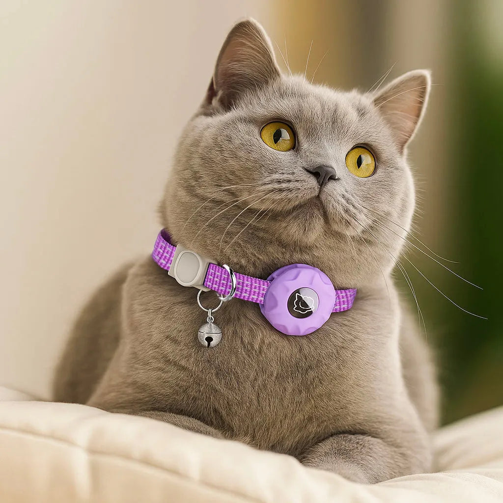 Katzenhalsband reflektierend | Mit AirTag-Halterung & Glöckchen