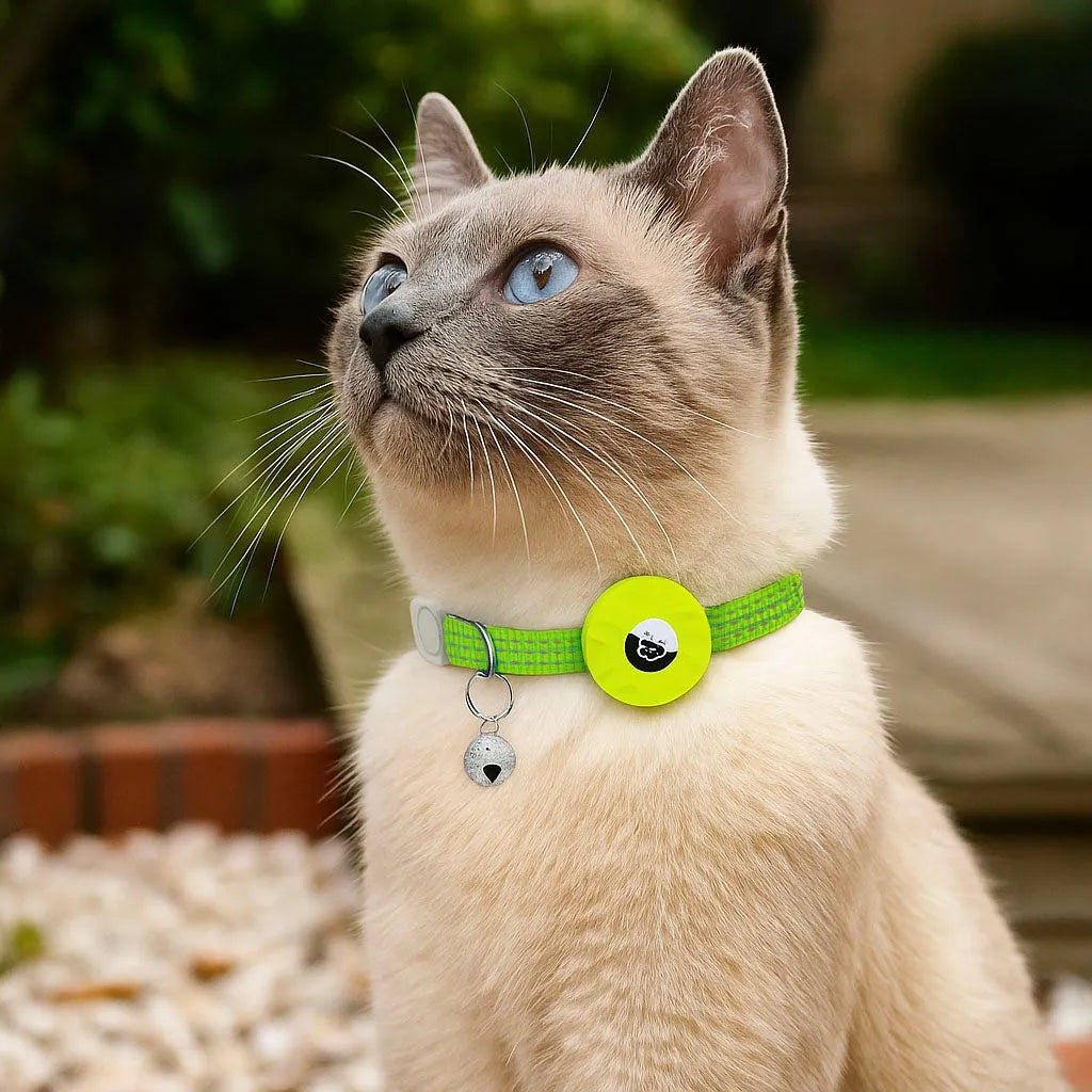 Katzenhalsband reflektierend | Mit AirTag-Halterung & Glöckchen