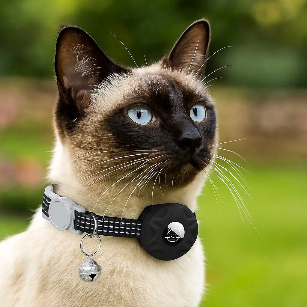 Katzenhalsband reflektierend | Mit AirTag-Halterung & Glöckchen