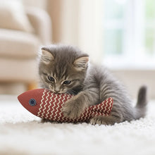 Cat Toy Fish with Catnip