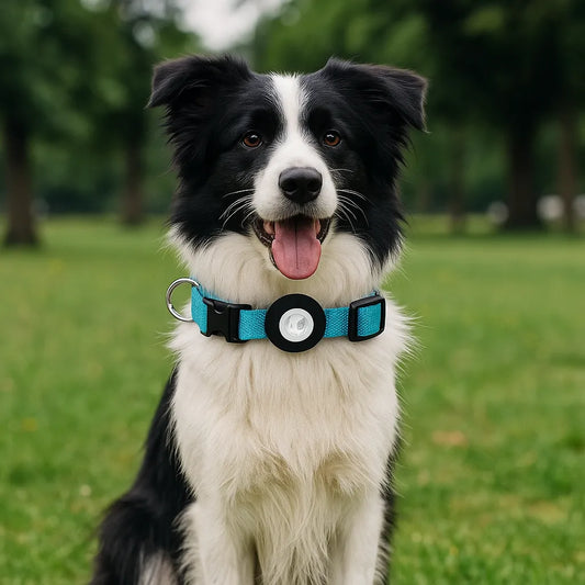 Robustes Hundehalsband | AirTag Halsband aus Nylon & verstellbar