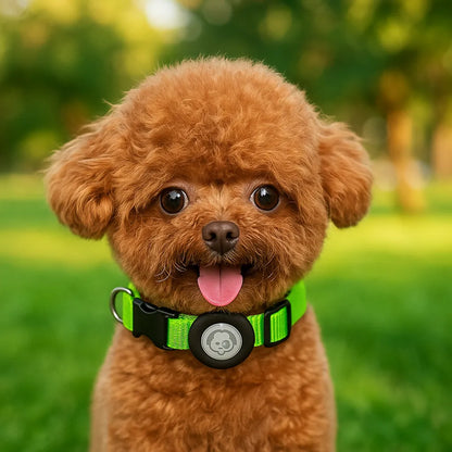 Robustes Hundehalsband | AirTag Halsband aus Nylon & verstellbar