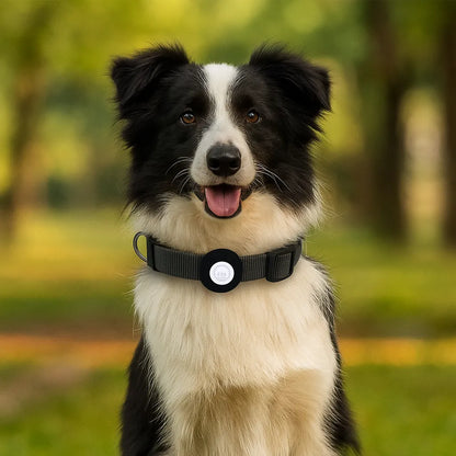 Robustes Hundehalsband | AirTag Halsband aus Nylon & verstellbar