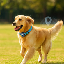 Hundehalsband für Hunde | AirTag Halsband aus Nylon & verstellbar