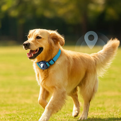 Hundehalsband für Hunde | AirTag Halsband aus Nylon & verstellbar