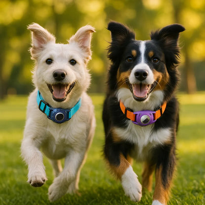 Hundehalsband für Hunde | AirTag Halsband aus Nylon & verstellbar