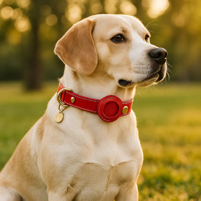 Lederhalsband Hund mit AirTag‑Halterung | Robust & wasserabweisend
