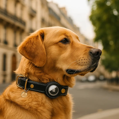 Lederhalsband Hund mit AirTag‑Halterung | Robust & wasserabweisend