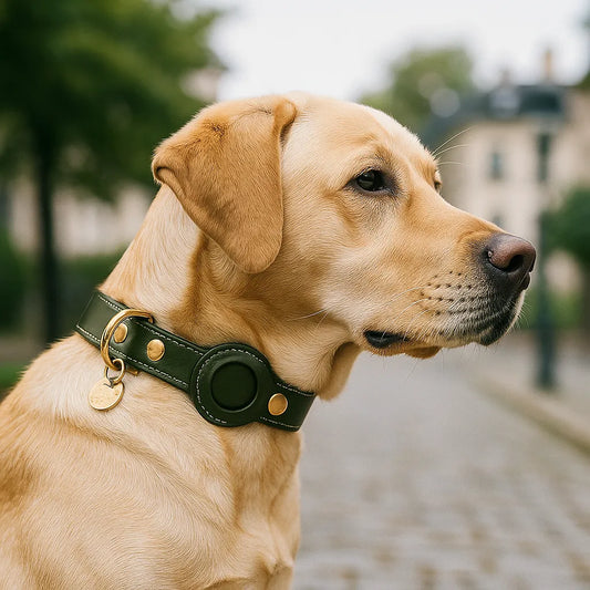 Lederhalsband Hund mit AirTag‑Halterung | Robust & wasserabweisend
