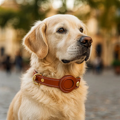Lederhalsband Hund mit AirTag‑Halterung | Robust & wasserabweisend