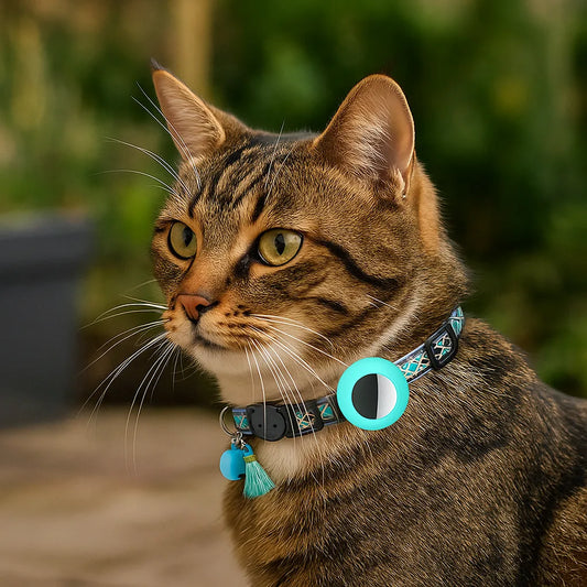 Katzenhalsband | mit AirTag‑Halterung