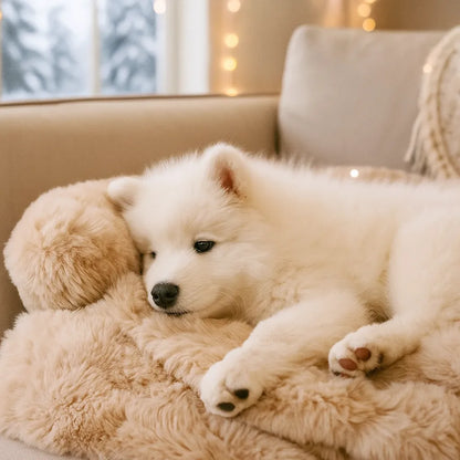 Plüsch Hundebett & Hundedecke |  Waschbares sofabezug