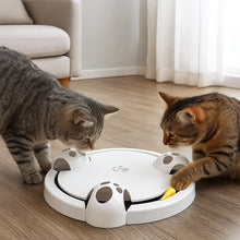 Interactive Cat Toy | Electronic Mouse with Speed Levels