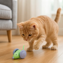 Interactive Cat Toy | USB Rechargeable with Automatic Shut-off & Speed Levels