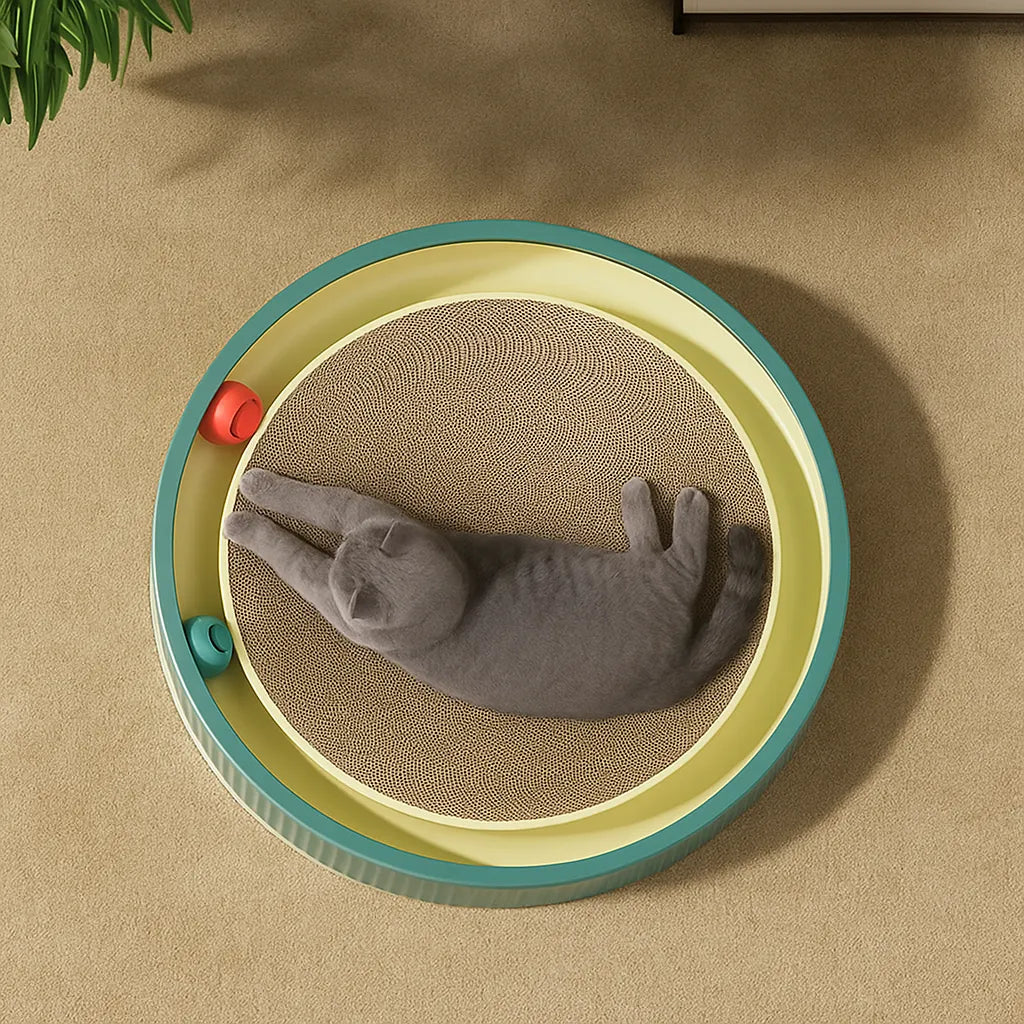 Kratzmatte für Katzen mit Spielball |  Zum Möbelschutz & für die Krallenpflege