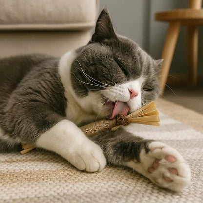 Katzenspielzeug Zahnpflege | Interaktives Spielzeug mit Katzenkraut zur Zahnreinigung & Stressreduzierung