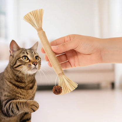 Katzenspielzeug Zahnpflege | Interaktives Spielzeug mit Katzenkraut zur Zahnreinigung & Stressreduzierung