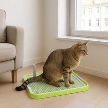 Katzentoilette | Hygienische Lösung für Kätzchen & Wohnungskatzen
