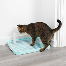 Katzentoilette | Hygienische Lösung für Kätzchen & Wohnungskatzen