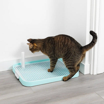 Katzentoilette | Hygienische Lösung für Kätzchen & Wohnungskatzen