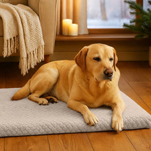 Dog bed with removable cover | Washable, non-slip & warm for winter