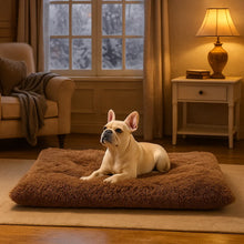 Washable Plush Dog Bed | Non-Slip & Foldable Cuddle Bed for Winter & Everyday Use