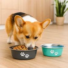 Dog Bowls Stainless Steel | Non-Slip & Easy to Clean in Double Pack