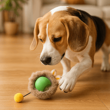 Jouet interactif pour chien avec mouvement | Occupation à la maison