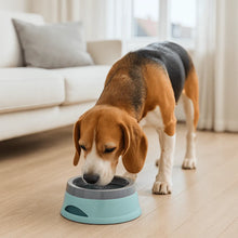 Gamelle pour chien anti-goutte | Gamelle d'eau avec plaque flottante anti-éclaboussures