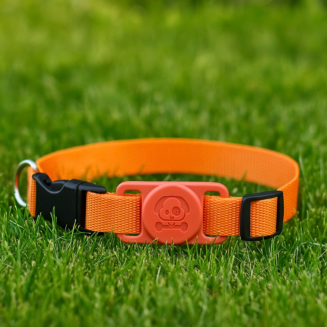 Hundehalsband mit AirTag Halterung | Wasserdicht & sicher für draußen
