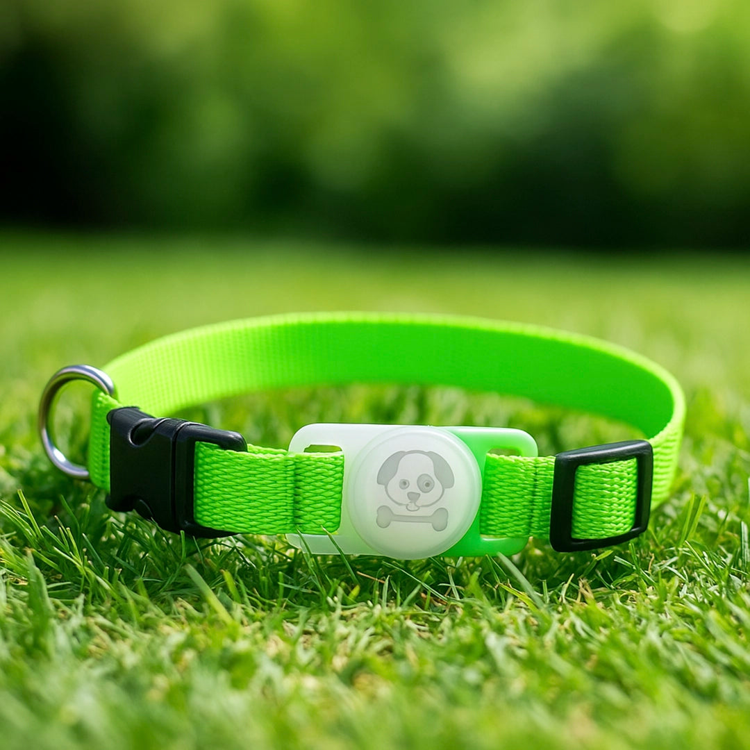 Hundehalsband mit AirTag Halterung | Wasserdicht & sicher für draußen