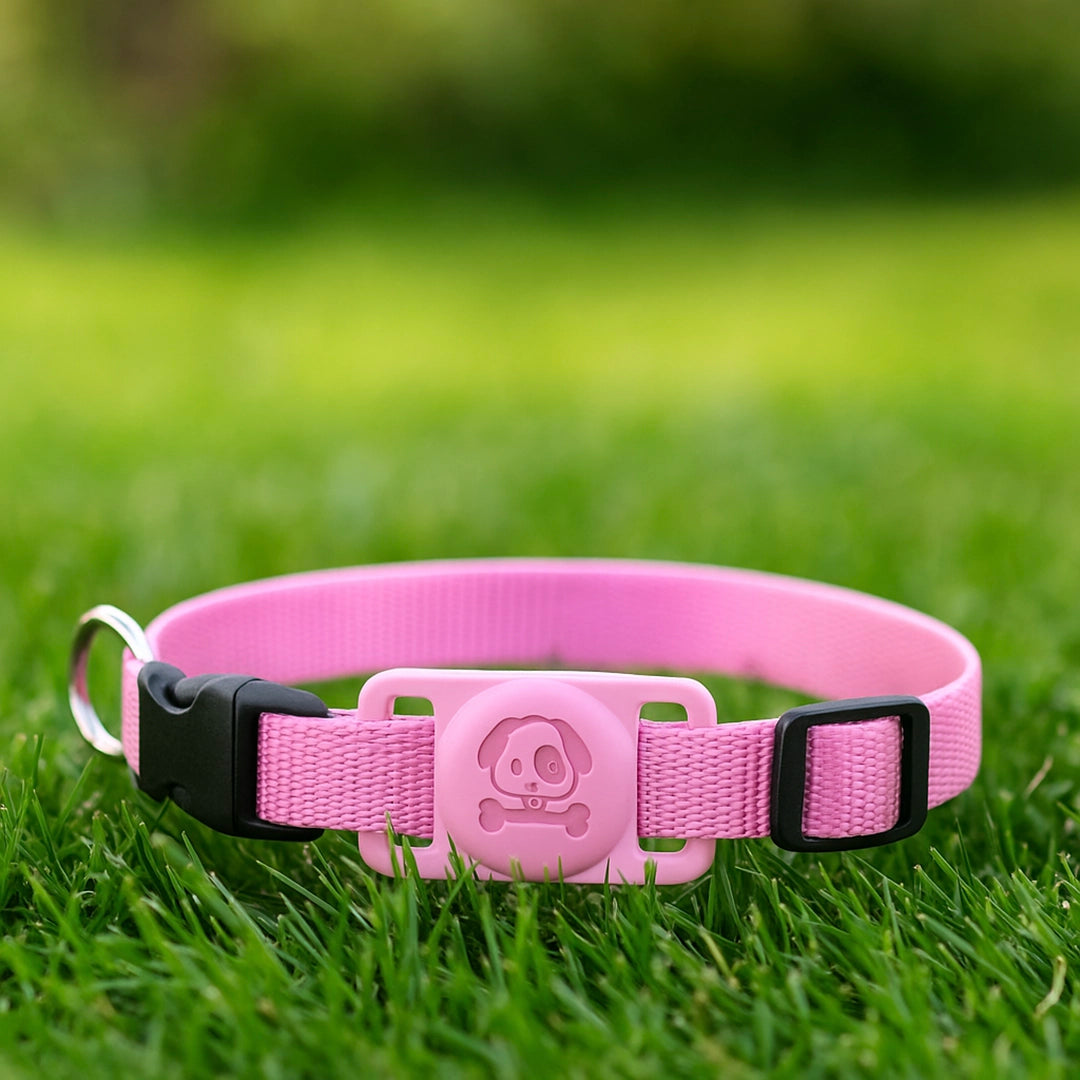 Hundehalsband mit AirTag Halterung | Wasserdicht & sicher für draußen