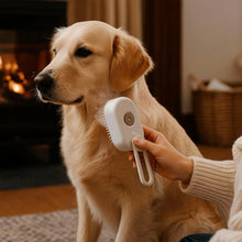 Dog Brush | Gentle Coat Cleaning & Care in Winter