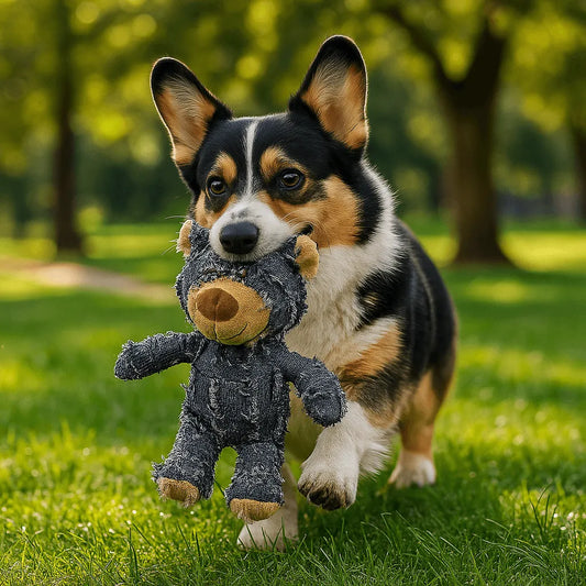 Hundespielzeug langlebig | Robust & sicher für starke Kauer