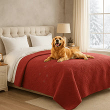 Waterproof Dog Blanket | Furniture & Sofa Protection Against Wet Paws in Winter