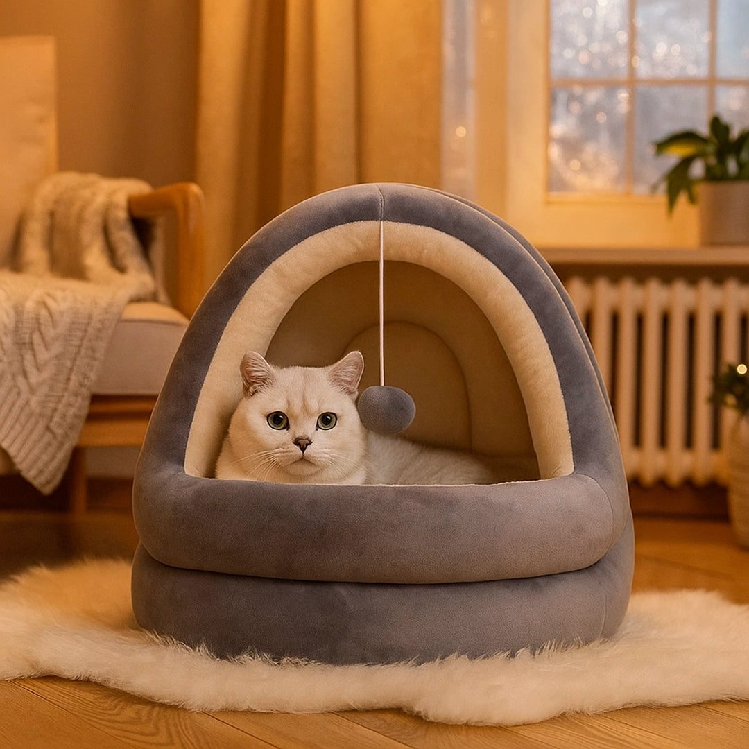 Katzenbett aus Plüsch mit herausnehmbarer Matte | Gemütlicher Rückzugsort für Katzen