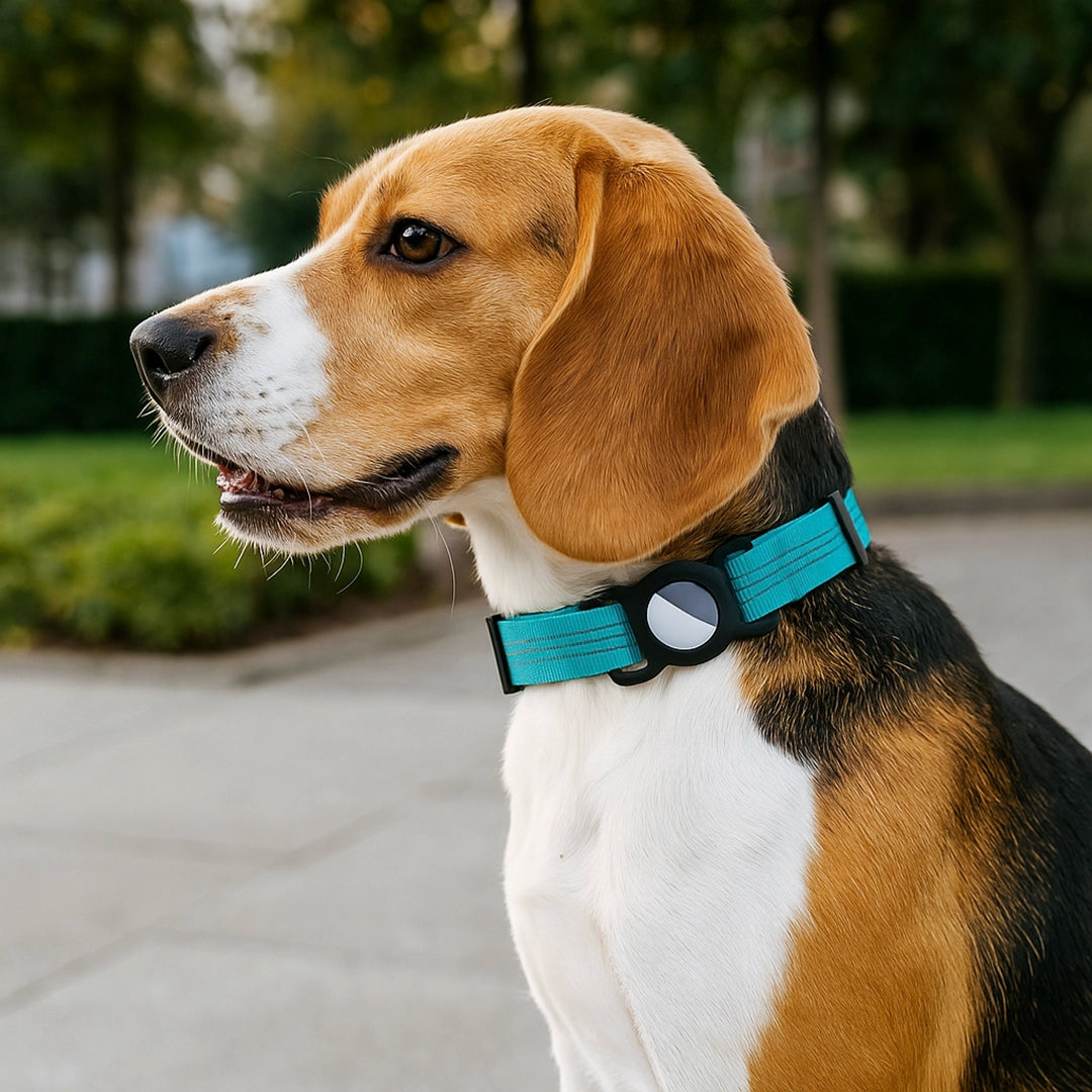 Hundehalsband mit AirTag Halterung | Verstellbar & robust für Outdoor-Abenteuer