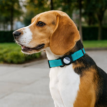 Dog collar with AirTag holder | Adjustable & sturdy for outdoor adventures