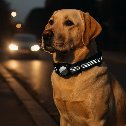 Hundehalsband mit AirTag Halterung | Verstellbar & robust für Outdoor-Abenteuer