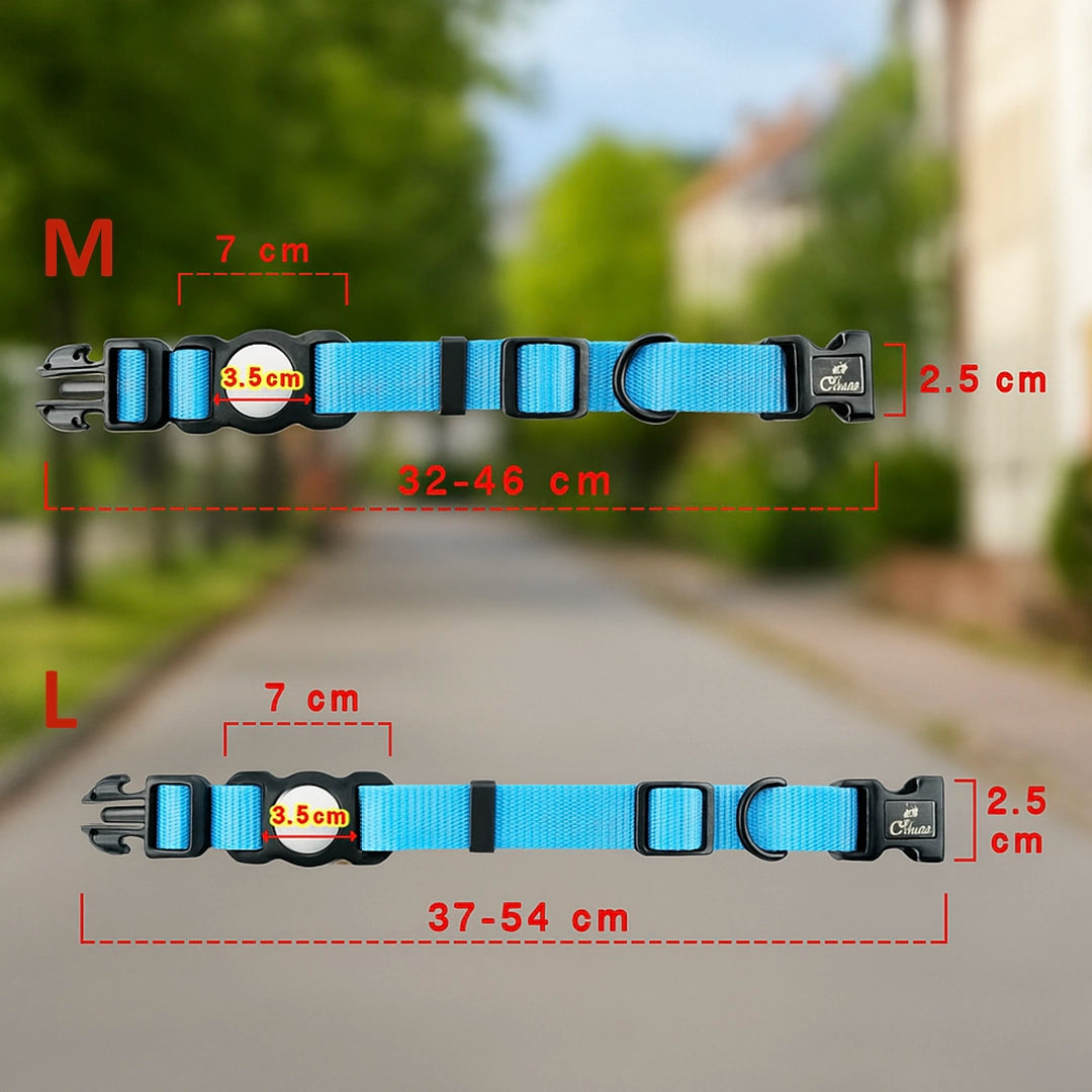 Hundehalsband mit AirTag Halterung | Verstellbar & robust für Outdoor-Abenteuer
