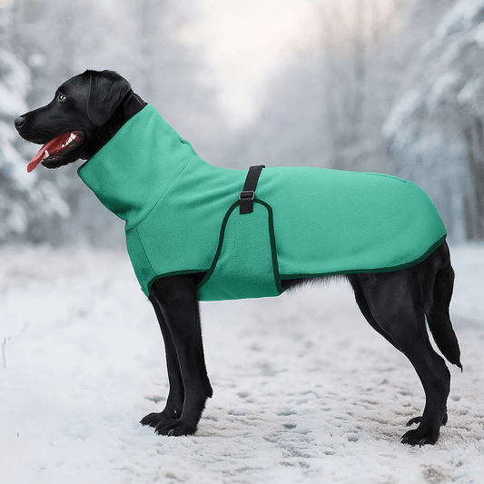 Winterjacke für große Hunde | Warm, wasserabweisend & winddicht