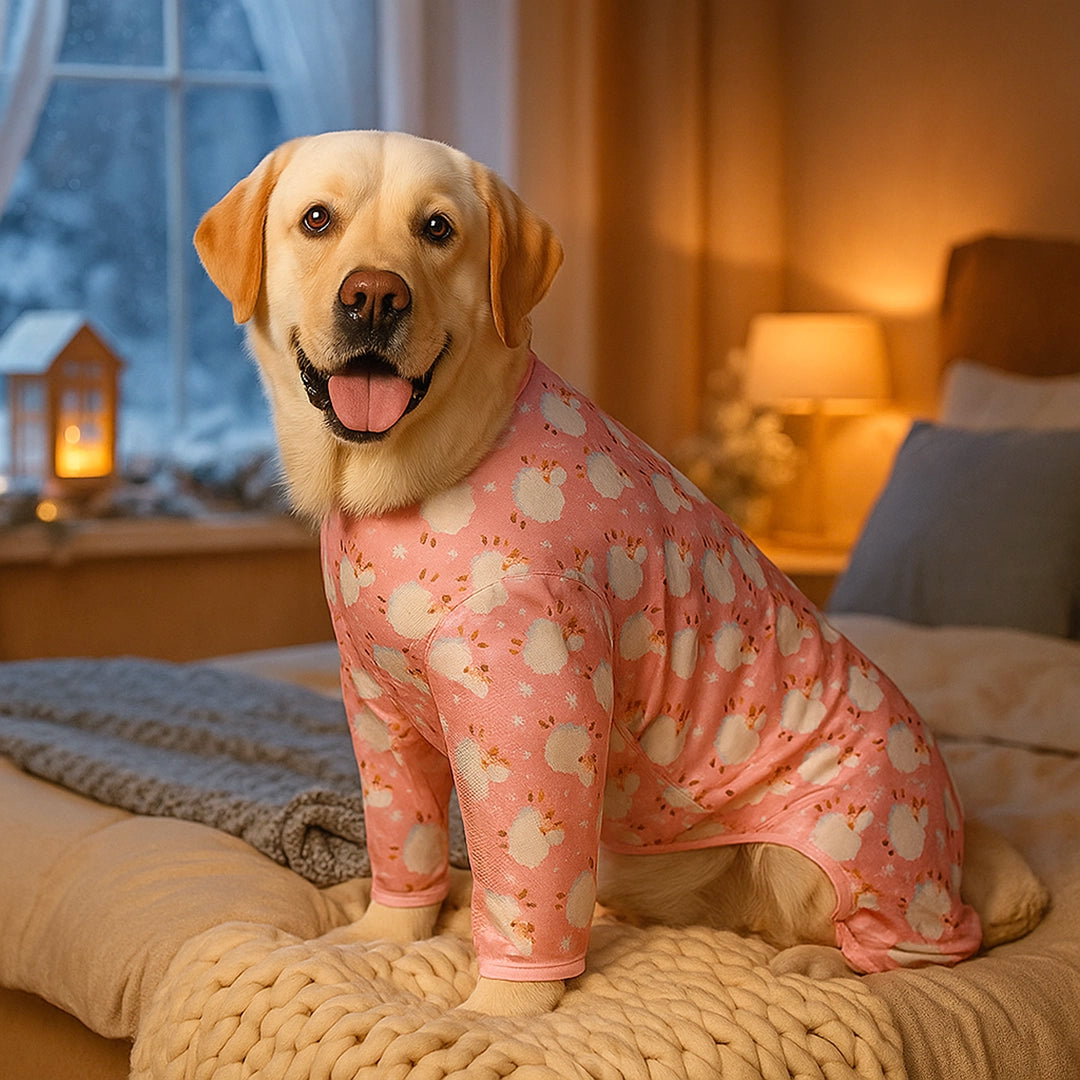 Hundepullover Winter | Warmer Baumwollmantel für Hunde