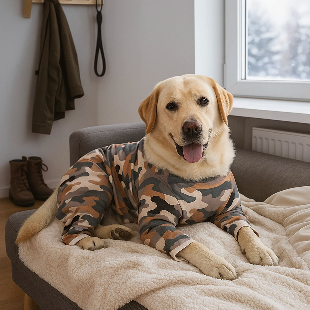 Hundepullover Winter | Warmer Baumwollmantel für Hunde